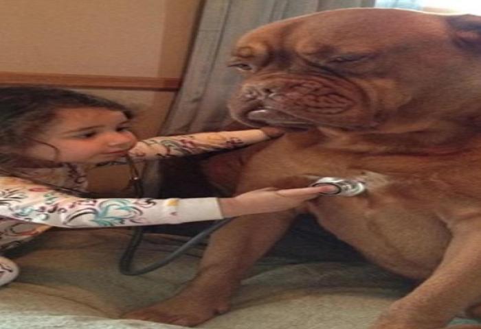 Lucunya Kelakuan Anjing dan Bayi Ini